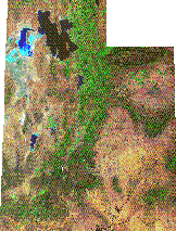 FACILITY LOCATION